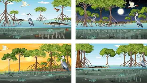 Different mangrove forest landscape scenes with animals