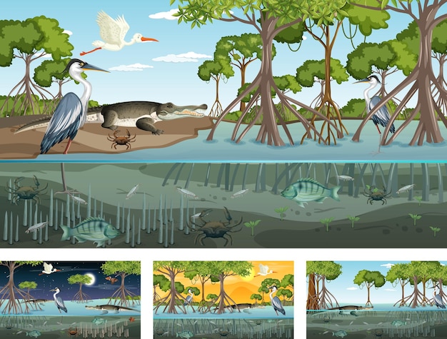 Different mangrove forest landscape scenes with animals