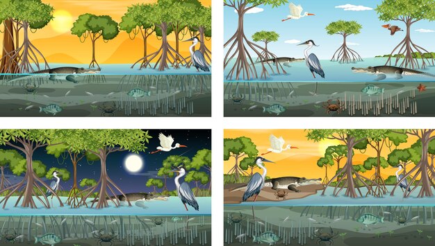 Different mangrove forest landscape scenes with various animals