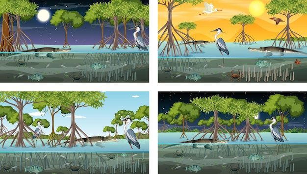 Different mangrove forest landscape scenes with various animals