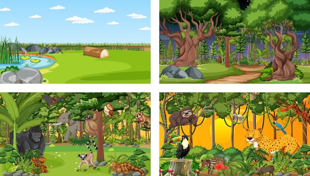 Different nature scenes of forest and rainforest with wild animals