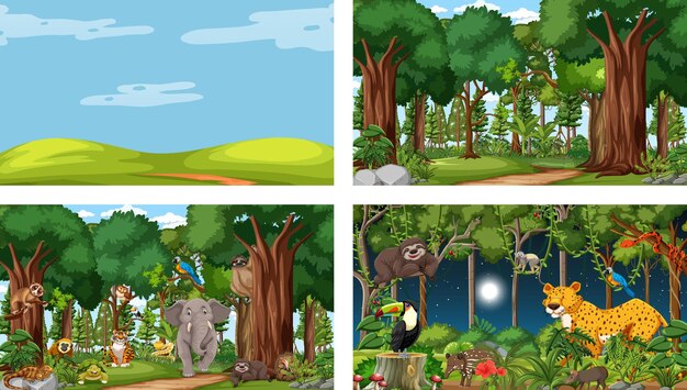 Different nature scenes of forest and rainforest with wild animals