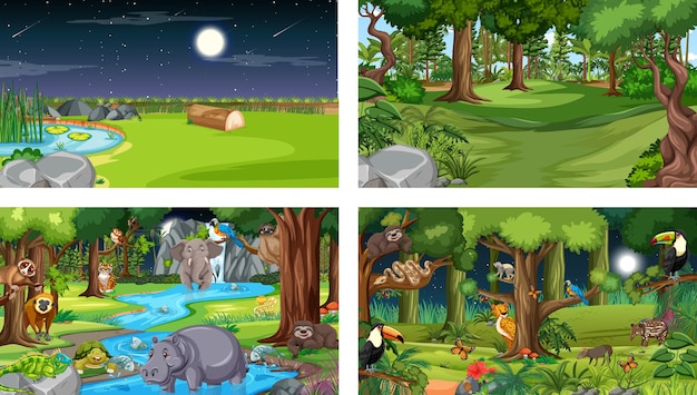 Different nature scenes of forest and rainforest with wild animals