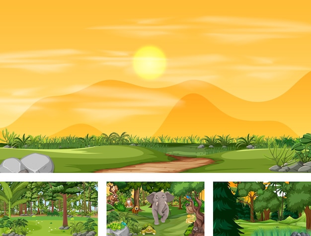 Free Vector different nature scenes of forest and rainforest with wild animals