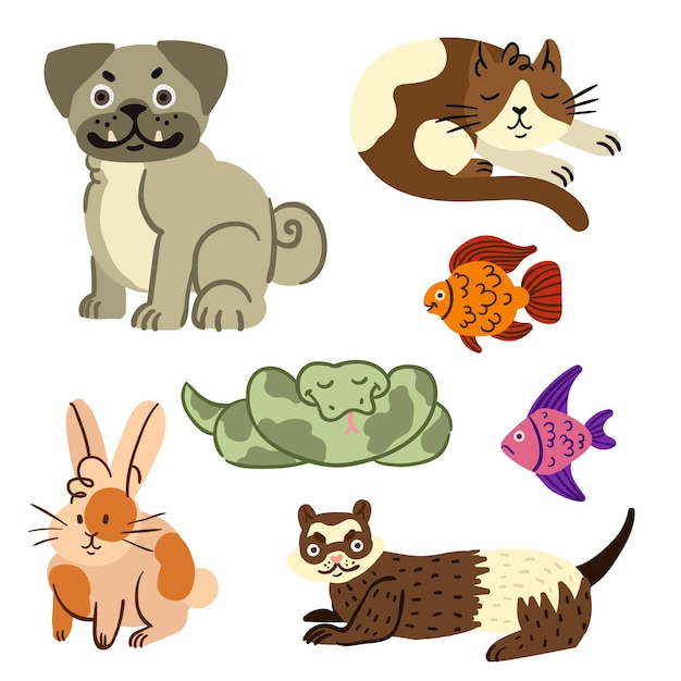 Different pets concept