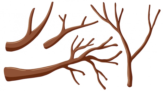 Free vector different shapes of branches