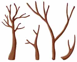 Free vector different shapes of branches