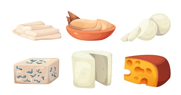 Free Vector different types of cheese