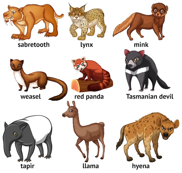 Free Vector different types of rare animal