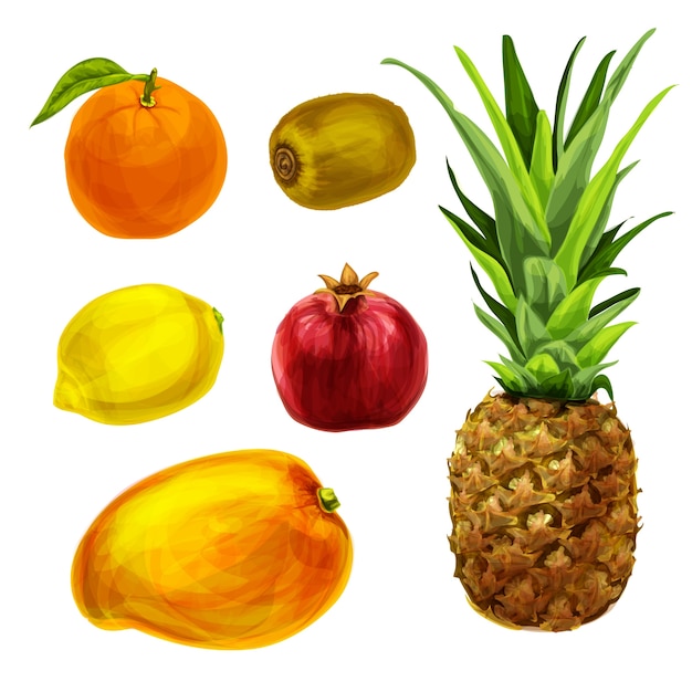 Free Vector different watercolor fruits