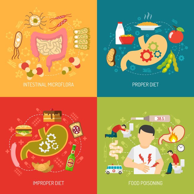  Digestion Concept vector image