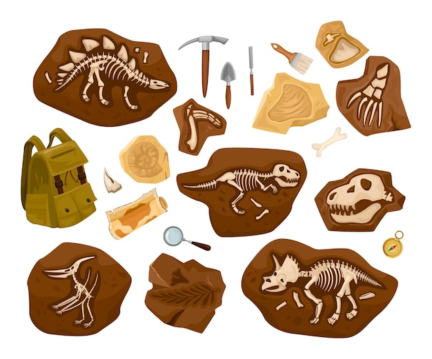 Free Vector dinosaur skeleton archaeological set of isolated images with tools backpack and ancient bones findings in stones vector illustration