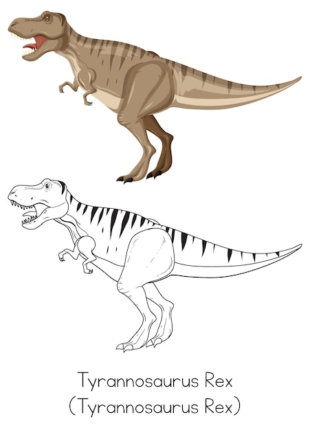 Dinosaur sketching of tyrannosaurus rex