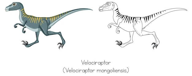 Dinosaur sketching of velociraptor