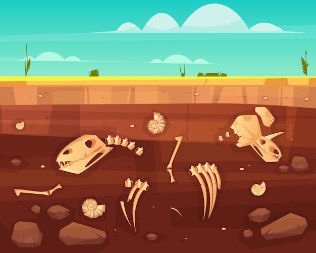 Free Vector dinosaurs skulls, reptile skeleton bones, ancient sea molluscs shells in soil deep layers cross section cartoon vector illustration. history of life on earth concept. paleontology science background