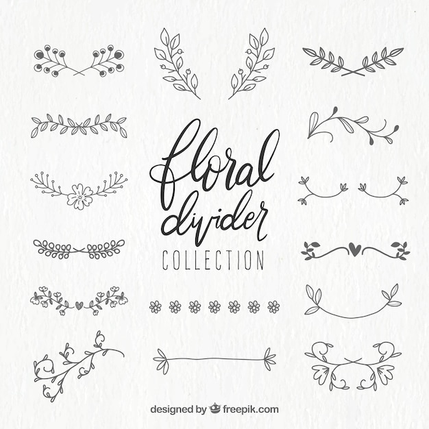 Dividers collection with floral ornaments