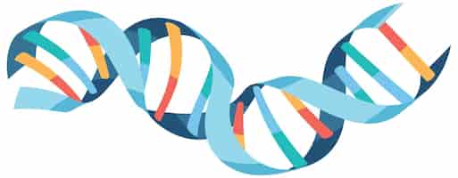 Free vector dna helix symbol isolated on white background