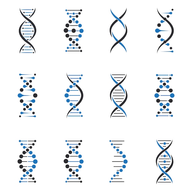 Free Vector dna molecule set