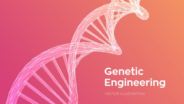 DNA sequence. Abstract 3d polygonal wireframe DNA code molecules structure mesh.