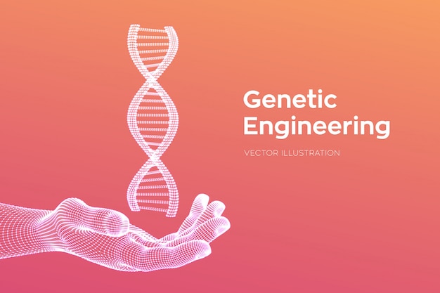 DNA sequence in hand. Wireframe DNA code molecules structure mesh.