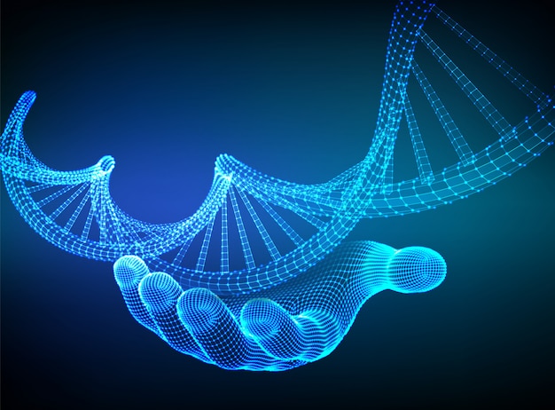 DNA sequence in hand. Wireframe DNA code molecules structure mesh.