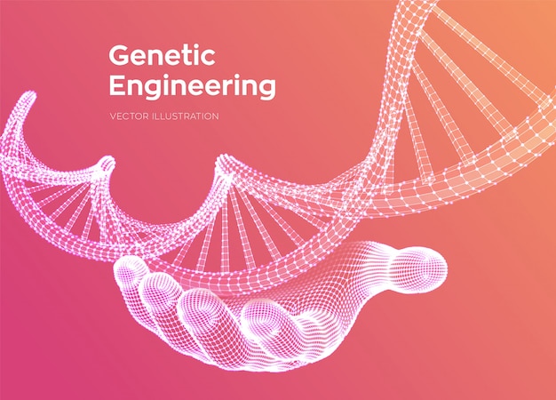 DNA sequence in hand. Wireframe DNA code molecules structure mesh.