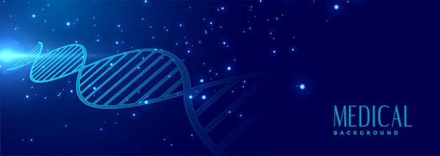 Dna sign medical and healthcare banner