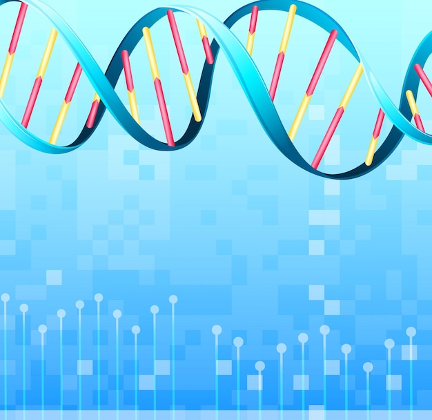 Free Vector dna