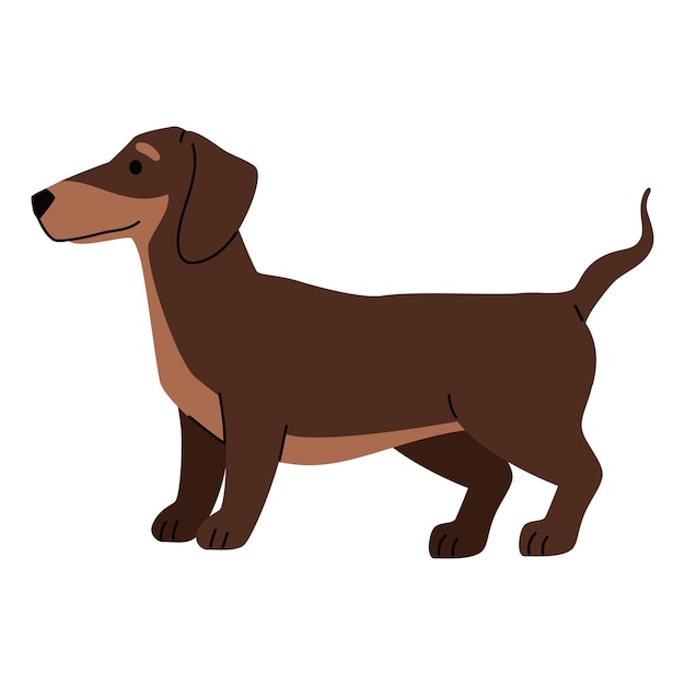 Free vector dog breed dachshund