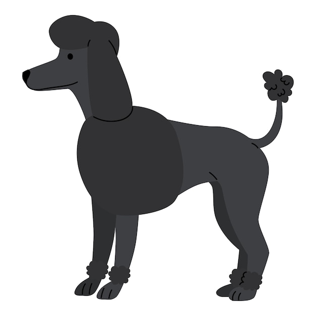 dog breed standard poodle