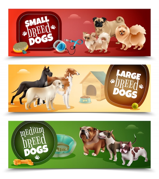 Free Vector dog breeds banner set