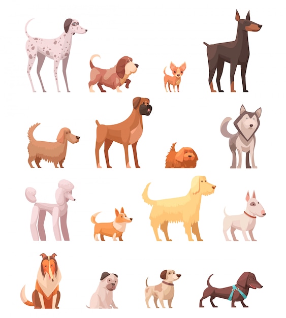 Free Vector dog breeds retro cartoon icons collection with husky poedel collie shepherd and dachshund dog isolated vector illustration 