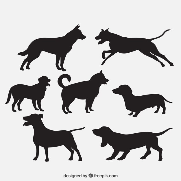 Dog breeds silhouettes