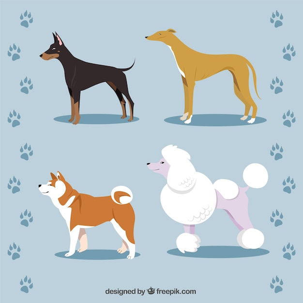 Dog breeds