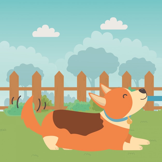 Free Vector dog of cartoon   