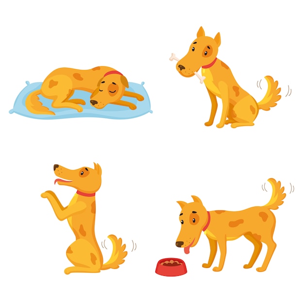 Dog in different states. Cartoon character set. Sleeping, gnawing bone, performing, eating.