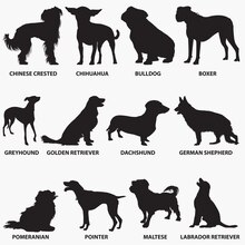 Dog silhouettes