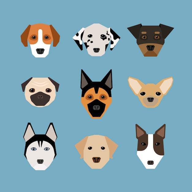 Free Vector dogs in flat style. pet and pedigree, watchdog and dalmatians, shepherd and pug