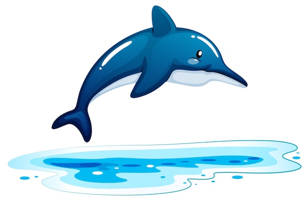 A dolphin