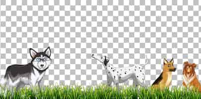 Free vector domestic dogs cartoon character on transparent background