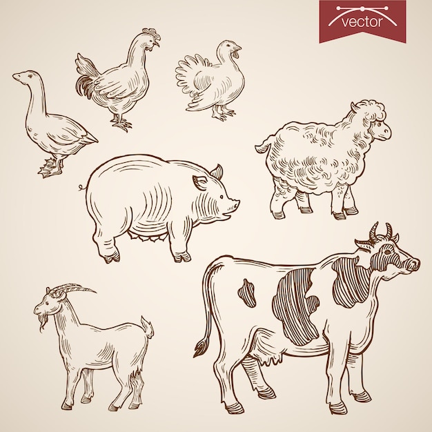 Free Vector domestic farm friendly funny animal icon set.