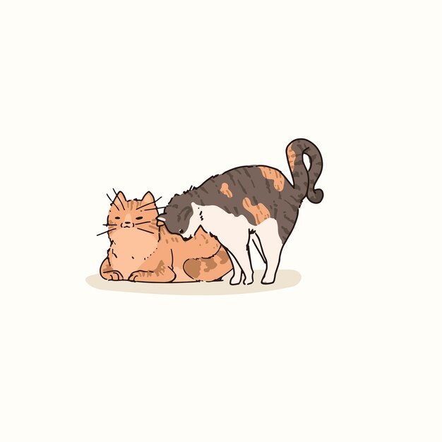 Domestic Shorthair cats doodle element