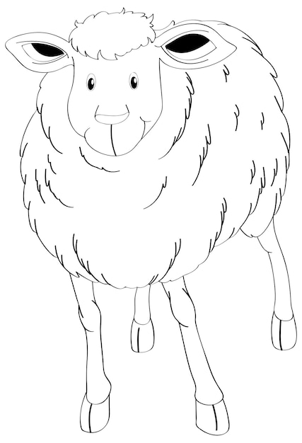 Free Vector doodle animal for sheep