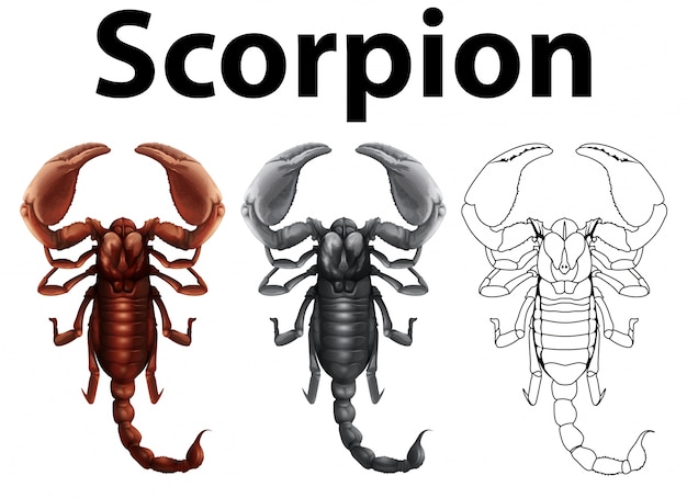 Free Vector doodle character for scorpion illustration