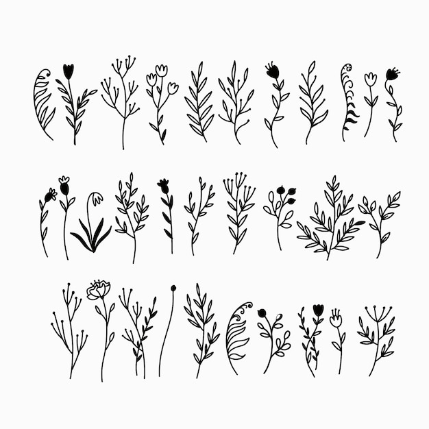 doodle plants collection