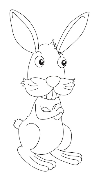 Free vector doodles drafting animal for rabbit