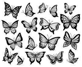 butterfly drawings