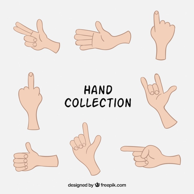 Free Vector drawings of hands set