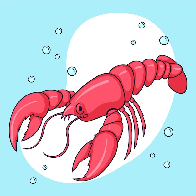 Drawn marine crawfish illustration