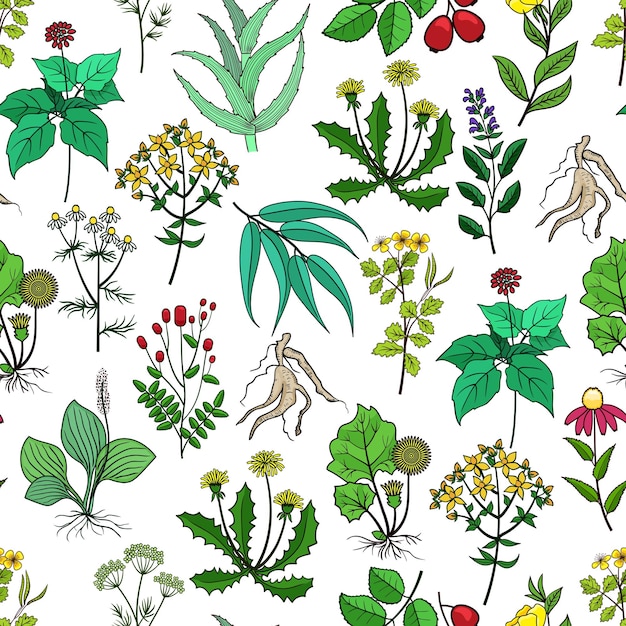 Free Vector drug plants and medicinal herbs background on white. pattern with green herbs for medicine. herb and flower for drug illustration